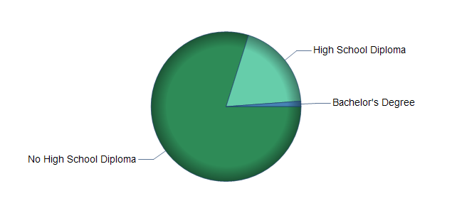 chart of education to reach occupation