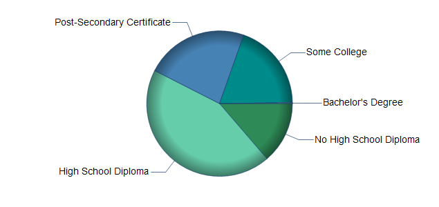 chart of education to reach occupation