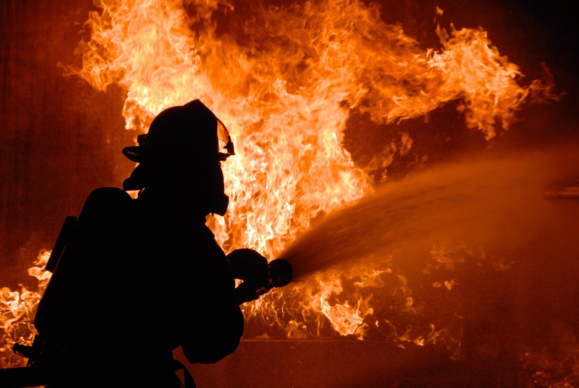 Emergency and Fire Management Services